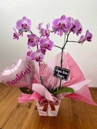 Orquídea com Balão Parabéns: orquídea, balão e plaquinha